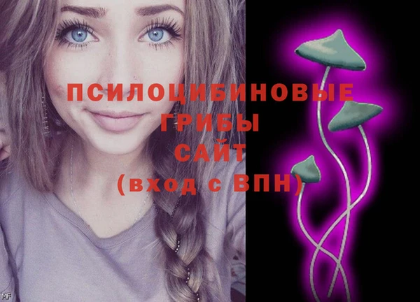 гашик Абдулино