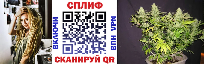 закладки  Керчь  Бошки Шишки SATIVA & INDICA 